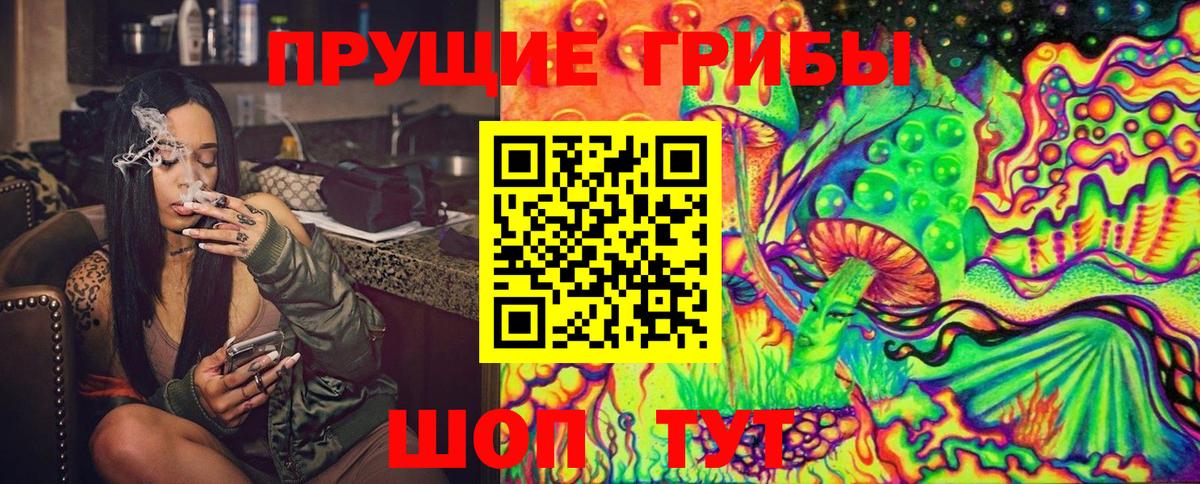 Галлюциногенные грибы Psilocybine cubensis  Вход с VPN  Фурманов  Псилоцибиновые грибы MAGIC MUSHROOMS 