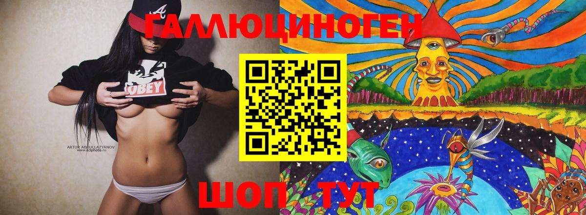 Псилоцибиновые грибы Psilocybe Фурманов